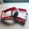 Colliers Shiba inu rouge