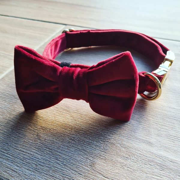 Collier et noeud papillon velour bordeau